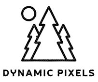 Dynamic Pixels