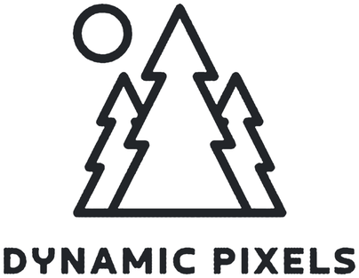 Dynamic Pixels